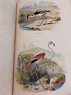 1853 OEUVRES COMPLETES DE BUFFON 139 planches aquarellées -Complet 6/6 vols In-4