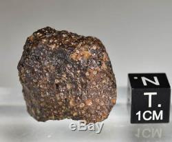 Belle Météorite Chondrite nwa Carboné CV3, 15 g, Complète avec Croûte de Fusion