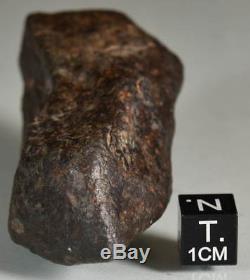 Belle Météorite Chondrite nwa Complète avec Croûte de Fusion, 106,4 g, Sahara
