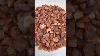 Complete Carnelian Tumble