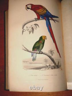 GALERIE D'HISTOIRE NATURELLE OEUVRES COMPLETES DE BUFFON 32 Gravures couleurs