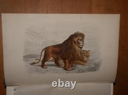 GALERIE D'HISTOIRE NATURELLE OEUVRES COMPLETES DE BUFFON 32 Gravures couleurs