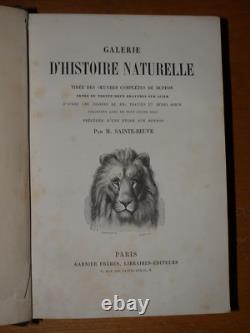 GALERIE D'HISTOIRE NATURELLE OEUVRES COMPLETES DE BUFFON 32 Gravures couleurs