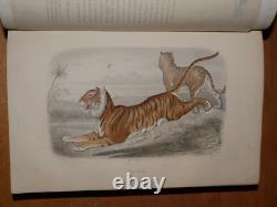 GALERIE D'HISTOIRE NATURELLE OEUVRES COMPLETES DE BUFFON 32 Gravures couleurs