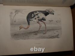 GALERIE D'HISTOIRE NATURELLE OEUVRES COMPLETES DE BUFFON 32 Gravures couleurs