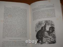 GALERIE D'HISTOIRE NATURELLE OEUVRES COMPLETES DE BUFFON 32 Gravures couleurs