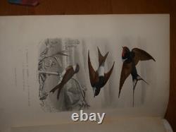GALERIE D'HISTOIRE NATURELLE OEUVRES COMPLETES DE BUFFON 32 Gravures couleurs