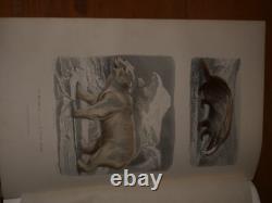 GALERIE D'HISTOIRE NATURELLE OEUVRES COMPLETES DE BUFFON 32 Gravures couleurs