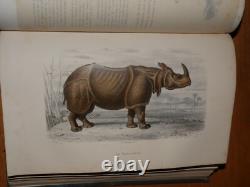 GALERIE D'HISTOIRE NATURELLE OEUVRES COMPLETES DE BUFFON 32 Gravures couleurs