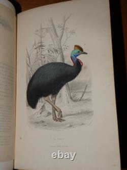 GALERIE D'HISTOIRE NATURELLE OEUVRES COMPLETES DE BUFFON 32 Gravures couleurs