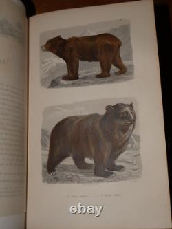 GALERIE D'HISTOIRE NATURELLE OEUVRES COMPLETES DE BUFFON 32 Gravures couleurs