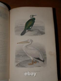 GALERIE D'HISTOIRE NATURELLE OEUVRES COMPLETES DE BUFFON 32 Gravures couleurs