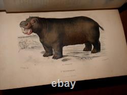GALERIE D'HISTOIRE NATURELLE OEUVRES COMPLETES DE BUFFON 32 Gravures couleurs