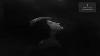 How To Disappear Completely Mer De Revs I U0026 II Full Albums