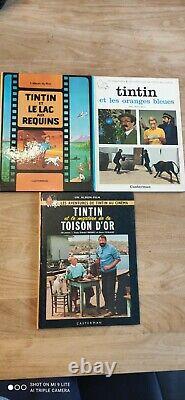 Lot de 24 BD Tintin en BE collection complètes