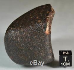 Météorite Chondrite NWA Orientée, Croûte de Fusion noire, Complète, Sahara, 169,2g