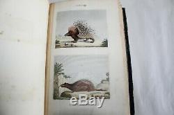 Oeuvres complètes de BUFFON 10 livres avec les suppléments 1846 Abel Ledoux