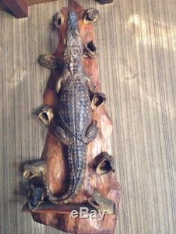 Taxidermie Alligator complet de 1m10